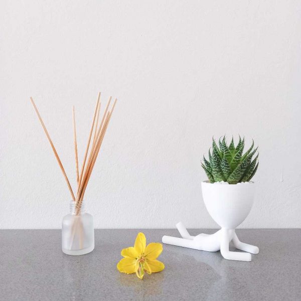 sam and lam pot planter men 3d printed royal art and decor