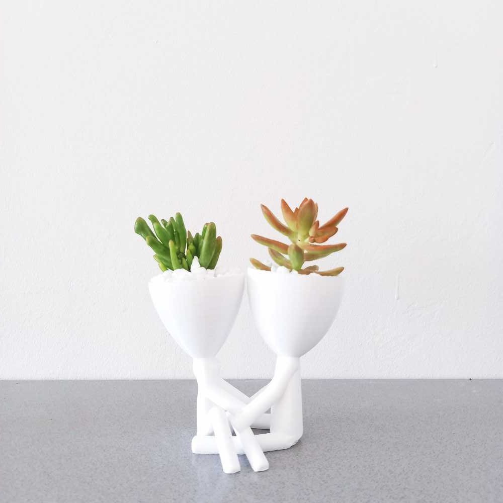 3 sam and lam pot planter men 3d printed royal art and decor